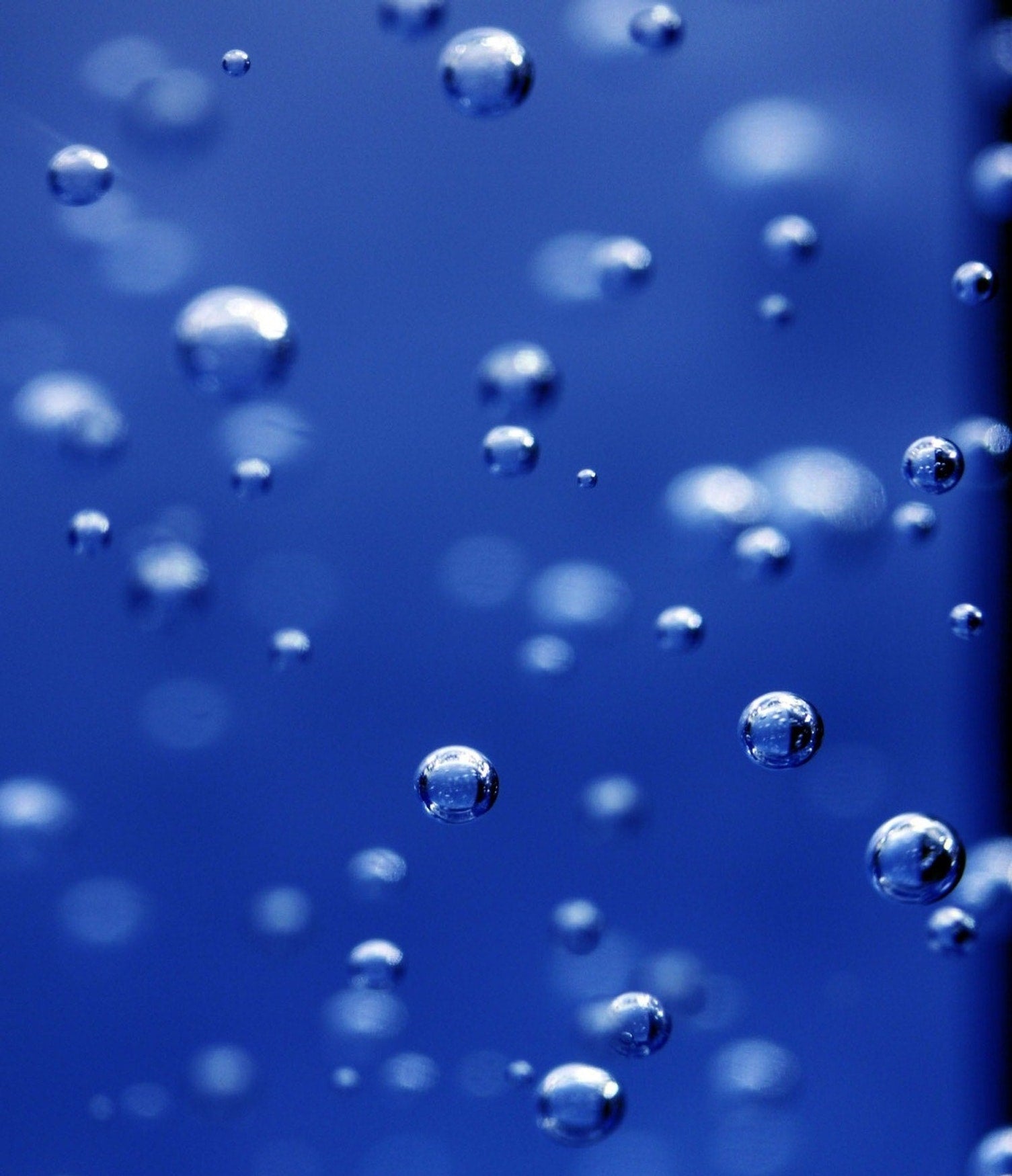 ¿Para qué sirve una carcasa de filtro de agua?