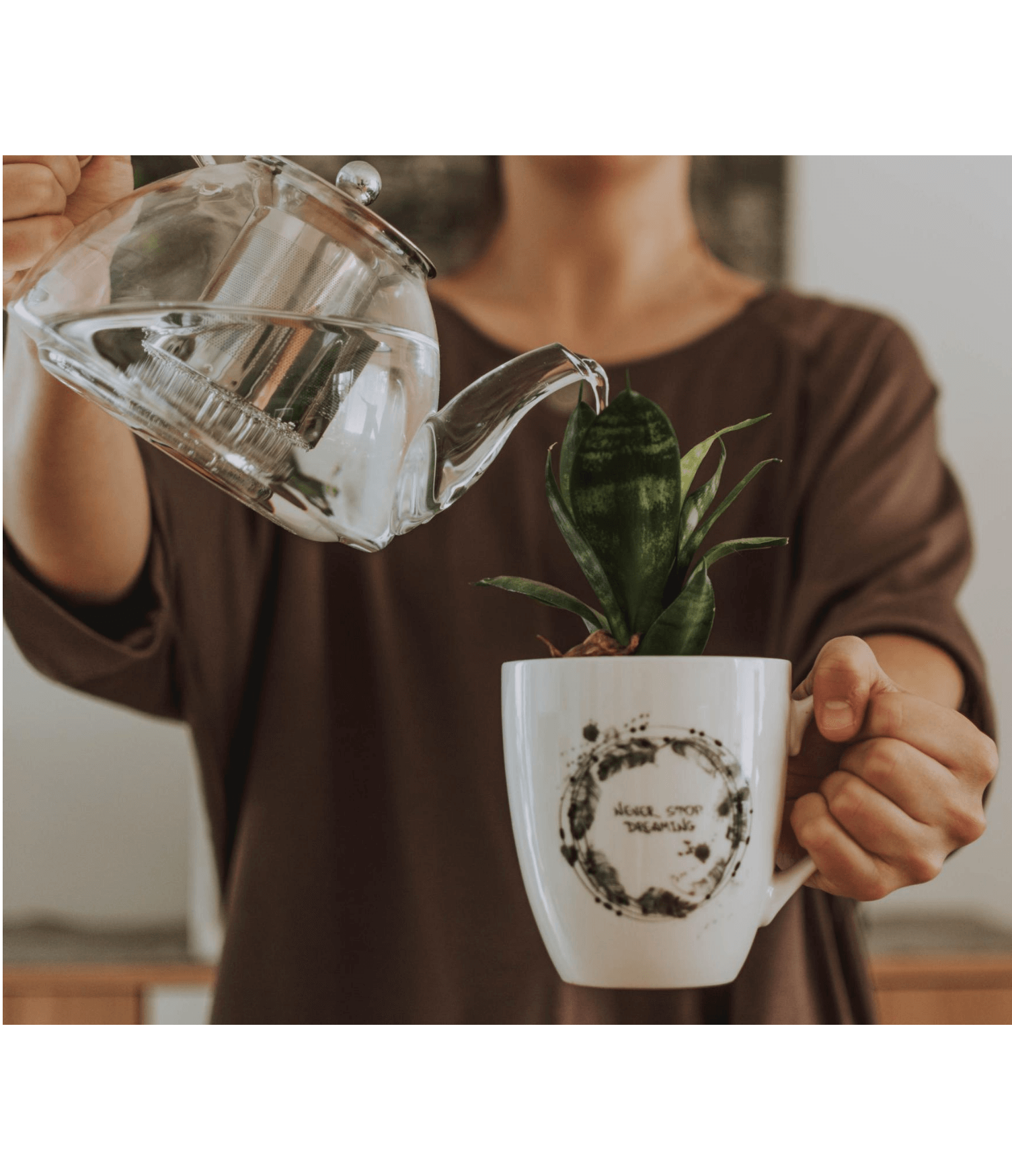 Descubre los beneficios de regar plantas con agua filtrada